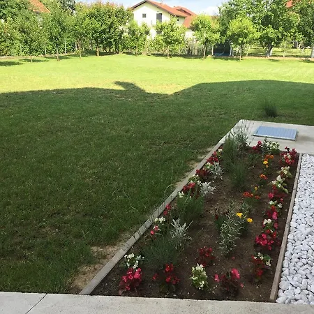 Apartmani Mila *